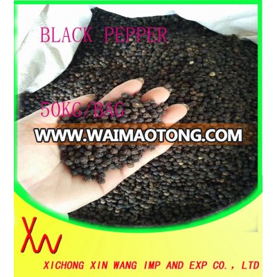 2017 high quality 550gl vietnam black pepper