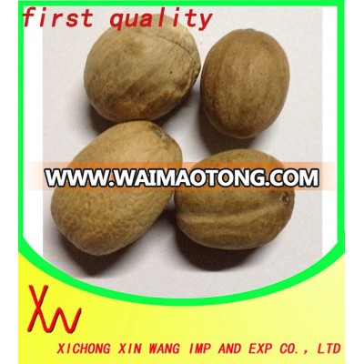 Nutmeg (100% Natural Dried ) for sale