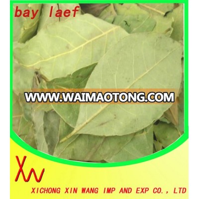 dried bay leaf