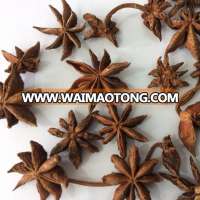 Hot price Star Anise _ Email: fiona@spice.vn